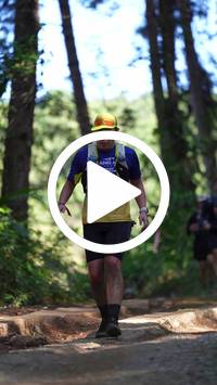 BIB:  <button type="button" onclick="openModal(26787972)" class="btn btn-primary btn-sm float-right" data-toggle="modal" data-target=".modal-high-quality">
                <i class="fa fa-download"></i> Download
                </button>